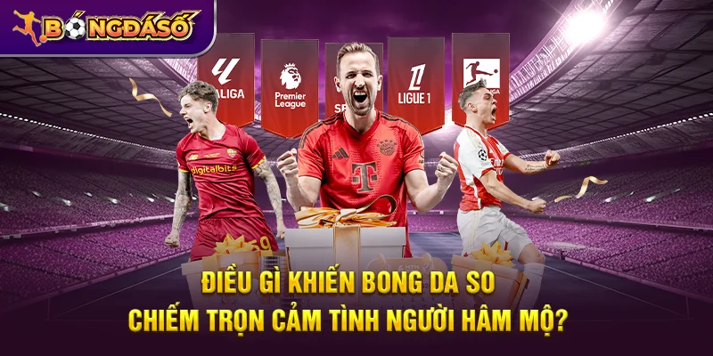 Điều gì khiến Bongdaso chiếm trọn cảm tình người hâm mộ?